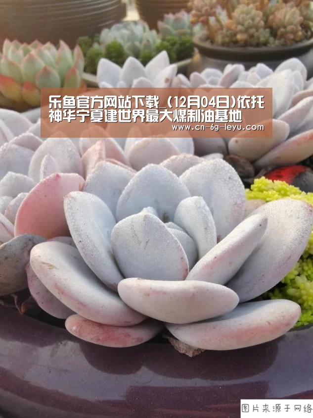 乐鱼官方网站下载_(12月04日)依托神华宁夏建世界最大煤制油基地(图4) 乐鱼官方网站下载