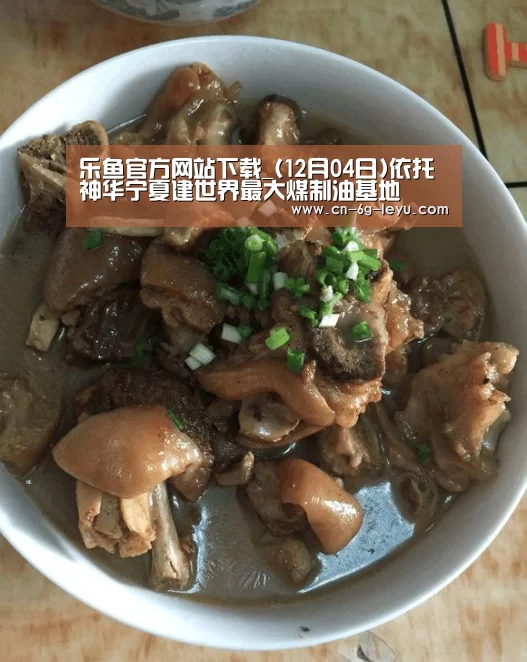 乐鱼官方网站下载_(12月04日)依托神华宁夏建世界最大煤制油基地(图3) 乐鱼体育平台网址
