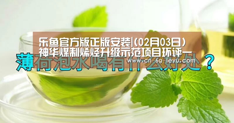 乐鱼官方版正版安装|(02月03日)神华煤制烯烃升级示范项目环评一季度完成(图2) 乐鱼体育平台网址