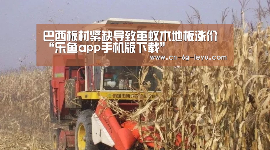 乐鱼官方网站下载
