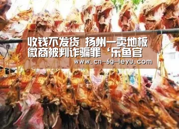 乐鱼官方版正版安装