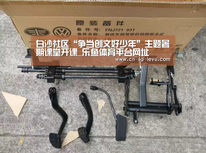 白沙社区“争当创文好少年”主题暑期课堂开课_乐鱼体育平台网址(图1) 乐鱼app手机版下载