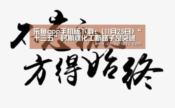 乐鱼app手机版下载:(11月25日)“十三五”时期煤化工新路子是突破与转型相结合(图2) 乐鱼体育平台网址