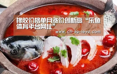 乐鱼体育平台网址
